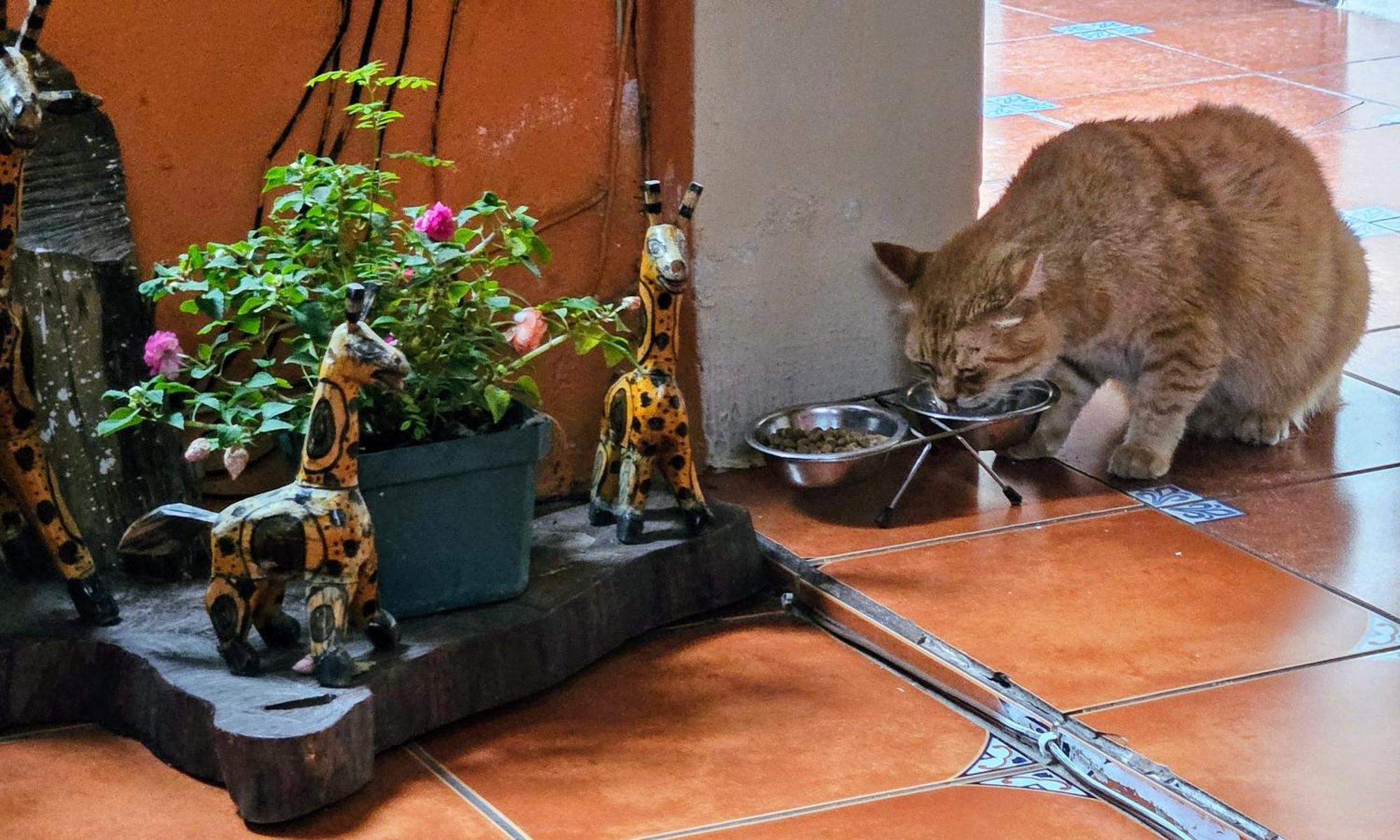 Hotel Casa Del Cerro Antigua Εξωτερικό φωτογραφία